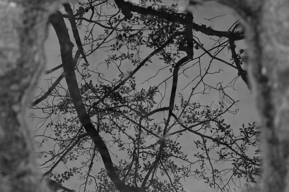 3      Joya Lingg 2Fotostafette Ll 2023 06 06      2